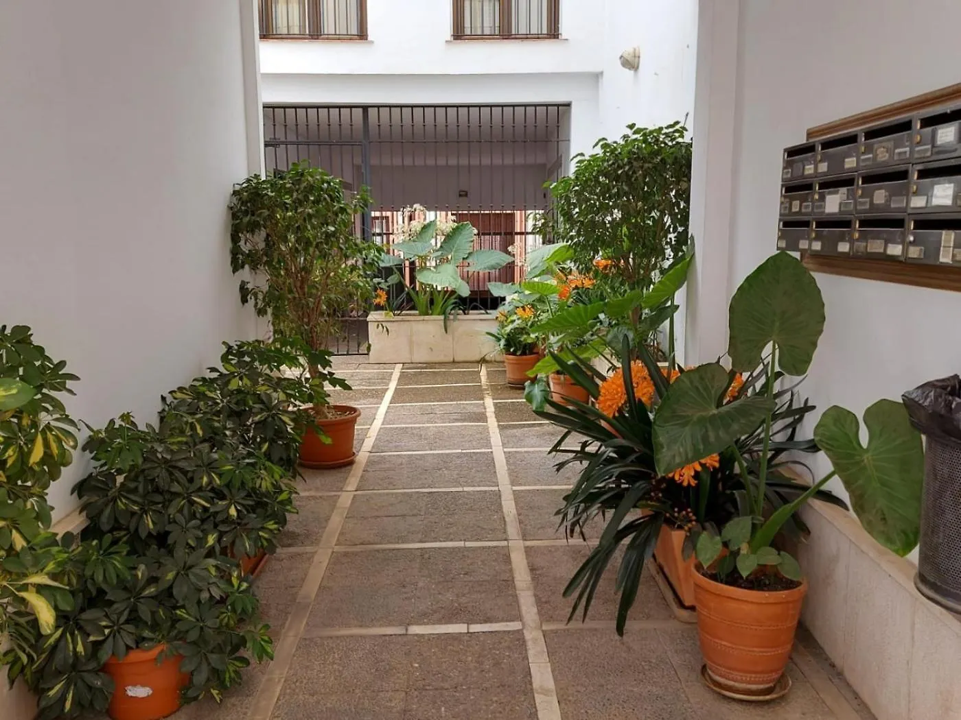 Apartamento Azahar Alfonso XII Sevilla